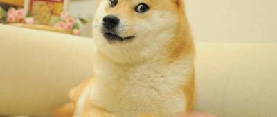 Знаменитый мем Doge продали как NFT за рекордные $4 млн