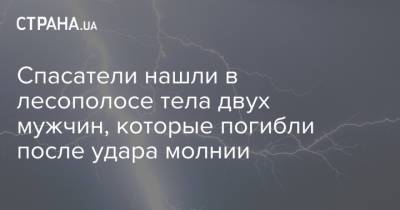 Спасатели нашли в лесополосе тела двух мужчин, которые погибли после удара молнии