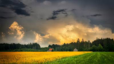 Гроза и шквалистый ветер: на Луганщине объявлен желтый уровень опасности