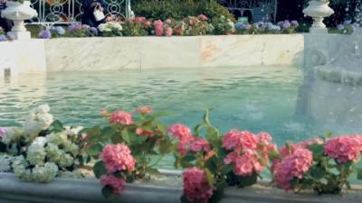 В этом году в Петербурге отреставрируют семь фонтанов