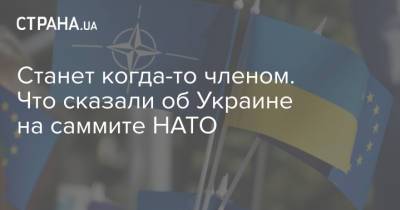 Станет когда-то членом. Что сказали об Украине на саммите НАТО