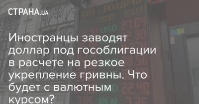 Иностранцы заводят доллар под гособлигации в расчете на резкое укрепление гривны. Что будет с валютным курсом?