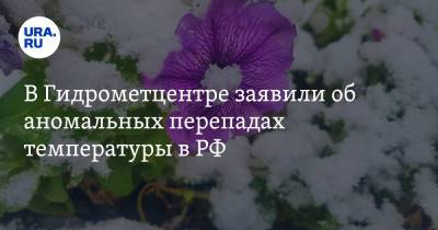 В Гидрометцентре заявили об аномальных перепадах температуры в РФ
