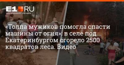 «Толпа мужиков помогла спасти машины от огня»: в селе под Екатеринбургом сгорело 2500 квадратов леса. Видео