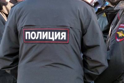 Прилетевших из Москвы в Петербург пассажиров проверила полиция