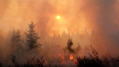 Природный пожар едва не стер с лица земли крупный туристический центр в Якутии