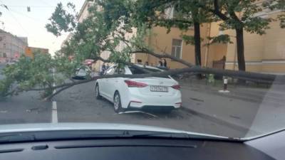 В центре Санкт-Петербурга дерево рухнуло на машину