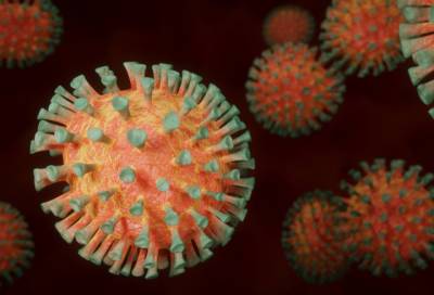 Специалисты будут искать «московский» штамм коронавируса