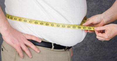 Ученые обнаружили одну из главных причин ожирения