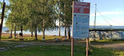 Пока следствие в Петрозаводске ищет виновных в гибели подростков, в том же месте снова купаются (ФОТО, ВИДЕО)