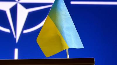 Зеленский оценил заявление НАТО о шансах вступления Украины в альянс