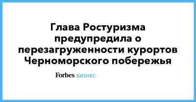 Глава Ростуризма предупредила о перезагруженности курортов Черноморского побережья