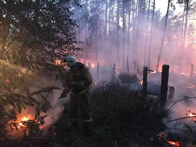 Пожарные ликвидировали крупный пожар вблизи коттеджного поселка "Бобры"