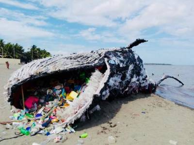 Большая часть пластикового мусора, попадающая в океан – это отходы еды на вынос