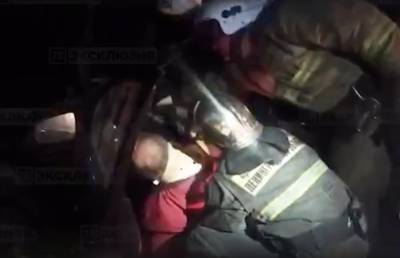Видео: водителя легковушки госпитализировали после столкновения с лосем в Гатчинском районе