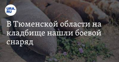 В Тюменской области на кладбище нашли боевой снаряд. Фото