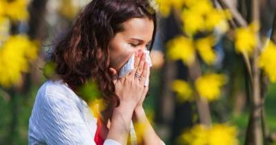 Сезон аллергии: как его пережить, и что советуют эксперты