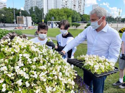 Член ОП Евгений Нифантьев высадил цветы в триколоре в честь Дня России