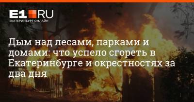 Дым над лесами, парками и домами: что успело сгореть в Екатеринбурге и окрестностях за два дня