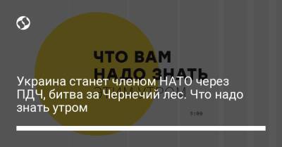 Борис Давиденко - Украина станет членом НАТО через ПДЧ, битва за Чернечий лес. Что надо знать утром - liga.net - Киев