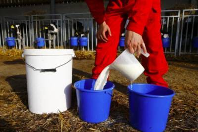 Производители молока и мяса готовы снизить цены: названо условие