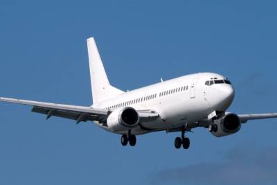 Самолет экстренно посадили в Тюмени после вылета в Петербург