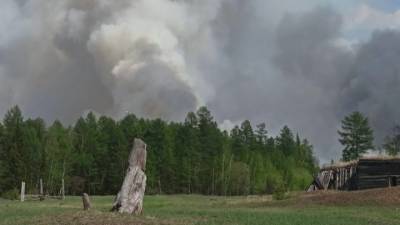 Новости на "России 24". В России горят 65 тысяч гектаров леса