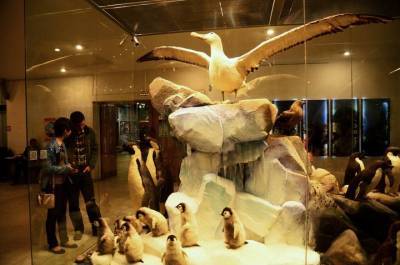 Выставка «Страна заповедников» откроется в Дарвиновском музее