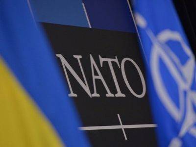 В НАТО готовы принять Украину и Грузию после реформ
