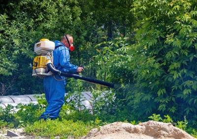 В Рязани начали обрабатывать водоемы от личинок комаров