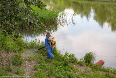 В Рязани продолжают обрабатывать водоемы от личинок комаров
