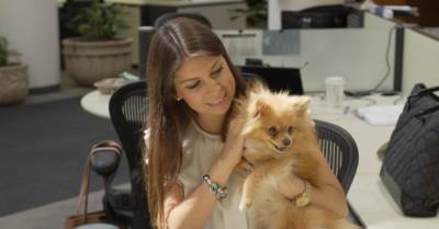 В Украине ищут компании, которые могут поделиться опытом создания pet-friendly офисов