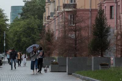 В Челябинске засохли более 500 новых деревьев и кустарников. Власти: это в пределах нормы