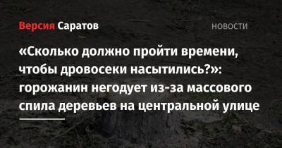 «Сколько должно пройти времени, чтобы дровосеки насытились?»: горожанин негодует из-за массового спила деревьев на центральной улице