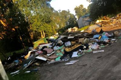 В Тверской области добропорядочные жители создали свалку