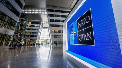 Зеленский заявил о праве Украины стать полноправным членом НАТО