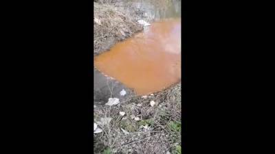 ПАУ «Сухой» в течение трех лет сливает неочищенные отходы в реку Каменку