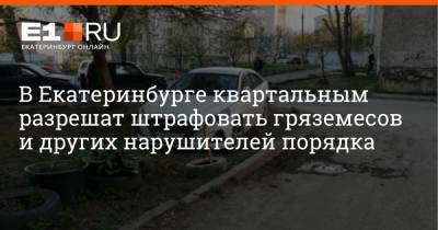 В Екатеринбурге квартальным разрешат штрафовать гряземесов и других нарушителей порядка