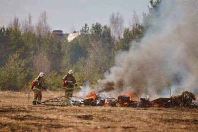 В Тверской области ожидается высокий уровень пожарной опасности