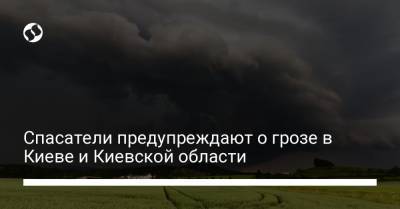 Спасатели предупреждают о грозе в Киеве и Киевской области