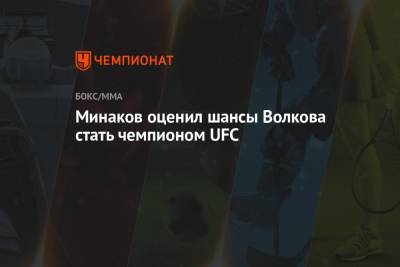 Минаков оценил шансы Волкова стать чемпионом UFC