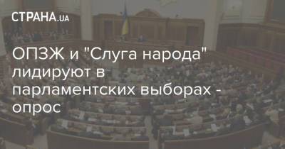 ОПЗЖ и "Слуга народа" лидируют в парламентских выборах - опрос