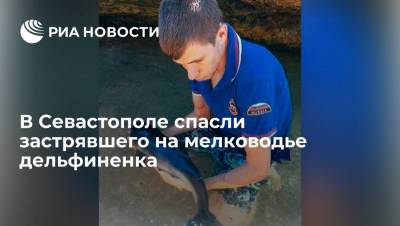 Сотрудник МЧС спас в Севастополе застрявшего на мелководье дельфиненка