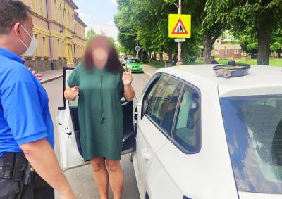 Жительница Чехии забыла сковородку с обедом на крыше своего авто: видео