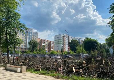 В Рязани уничтожили деревья в Наташином парке - ya62.ru - Рязань - Благоустройство