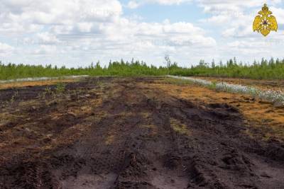 Леса в Тверской области проверили на предмет возгораний торфа
