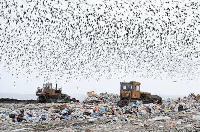 В Орловской области возникли проблемы с утилизацией мусора