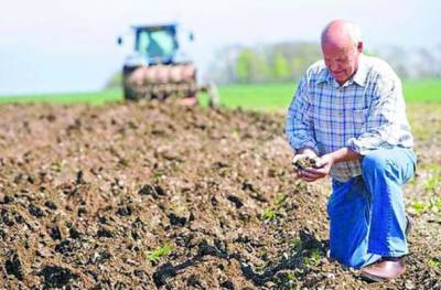 «А ВАС не спрашивают»: вместо украинских олигархов под раздачу попали фермеры