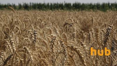 Украине не грозит засуха