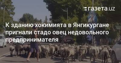 К зданию хокимията в Янгикургане пригнали стадо овец недовольного предпринимателя